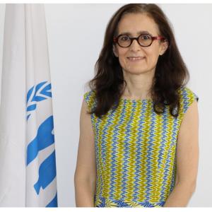 Anne-Elisabeth Ravetto, Représentante du HCR